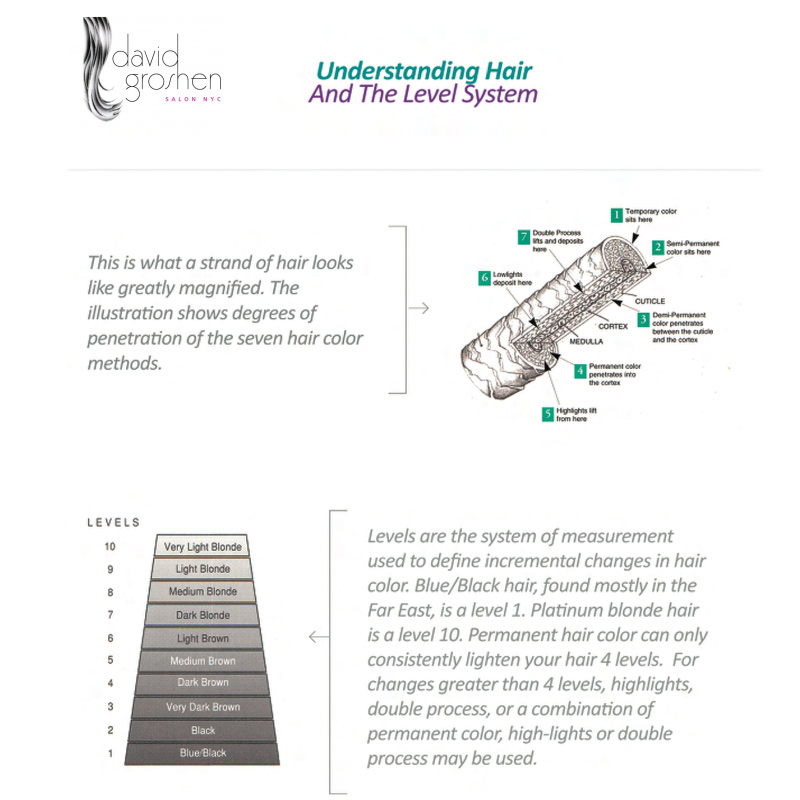 Understanding Hair and the Level System